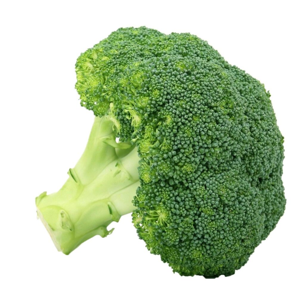 CAVOLO BROCCOLO F1