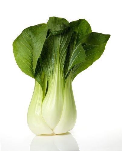 CAVOLO PAK CHOI F1
