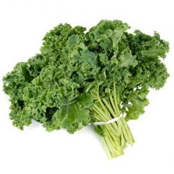 CAVOLO RICCIO KALE F1