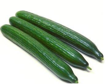 CETRIOLO LUNGO F1