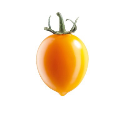 DATTERINO GIALLO IBRIDO RF