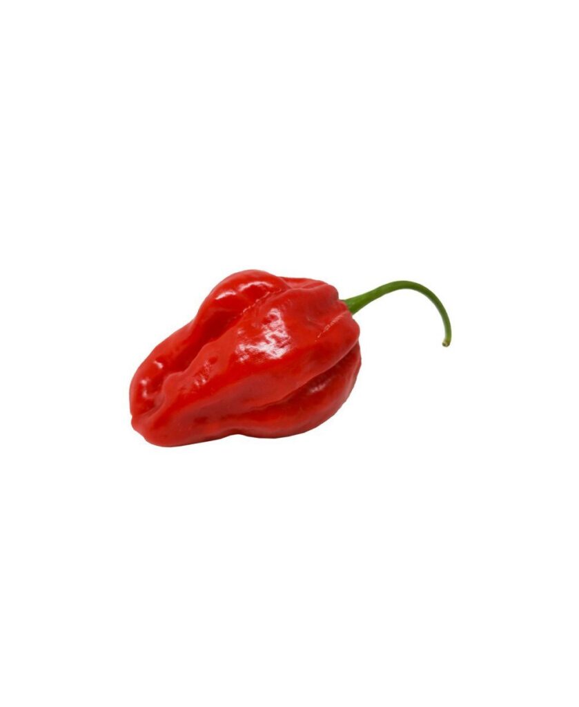 PEPERONCINO HABANERO RF