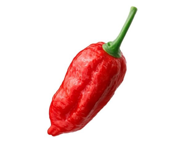 PEPERONCINO NAGA MORICH RF