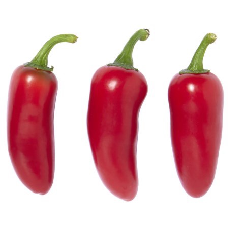 PEPERONCINO TABASCO RF