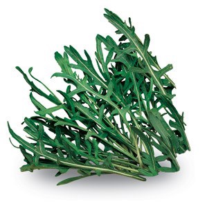 RUCOLA SELVATICA