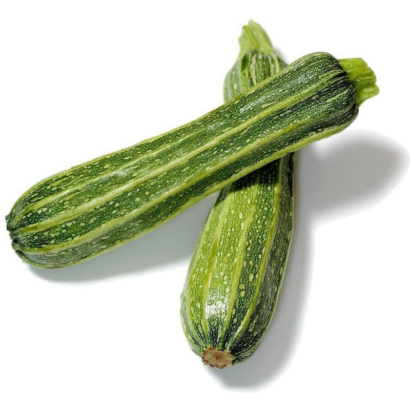 ZUCCHINO ROMANESCO F1